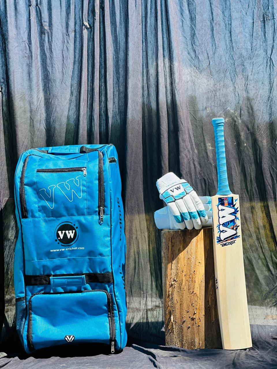 Best Ping Kashmir Willow Cricket bat under 5000