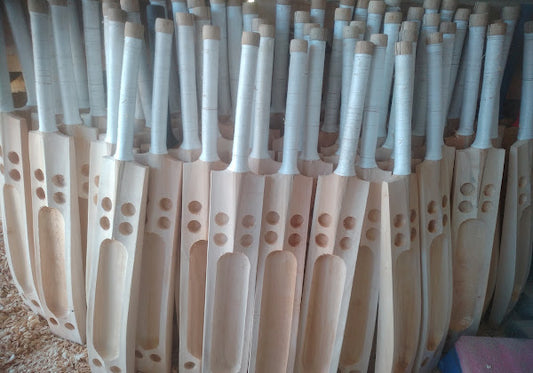 Know the story of Kashmir Willow Cricket Bats