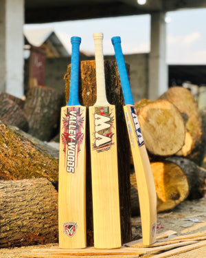 Top Grade Leather Cricket Bat in Kashmir Willow | Beast Edition by Valley Woods