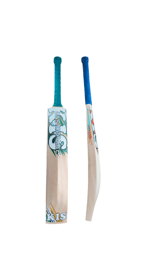 Boom Boom KIS Bat Kashmir Willow back side and side profile view