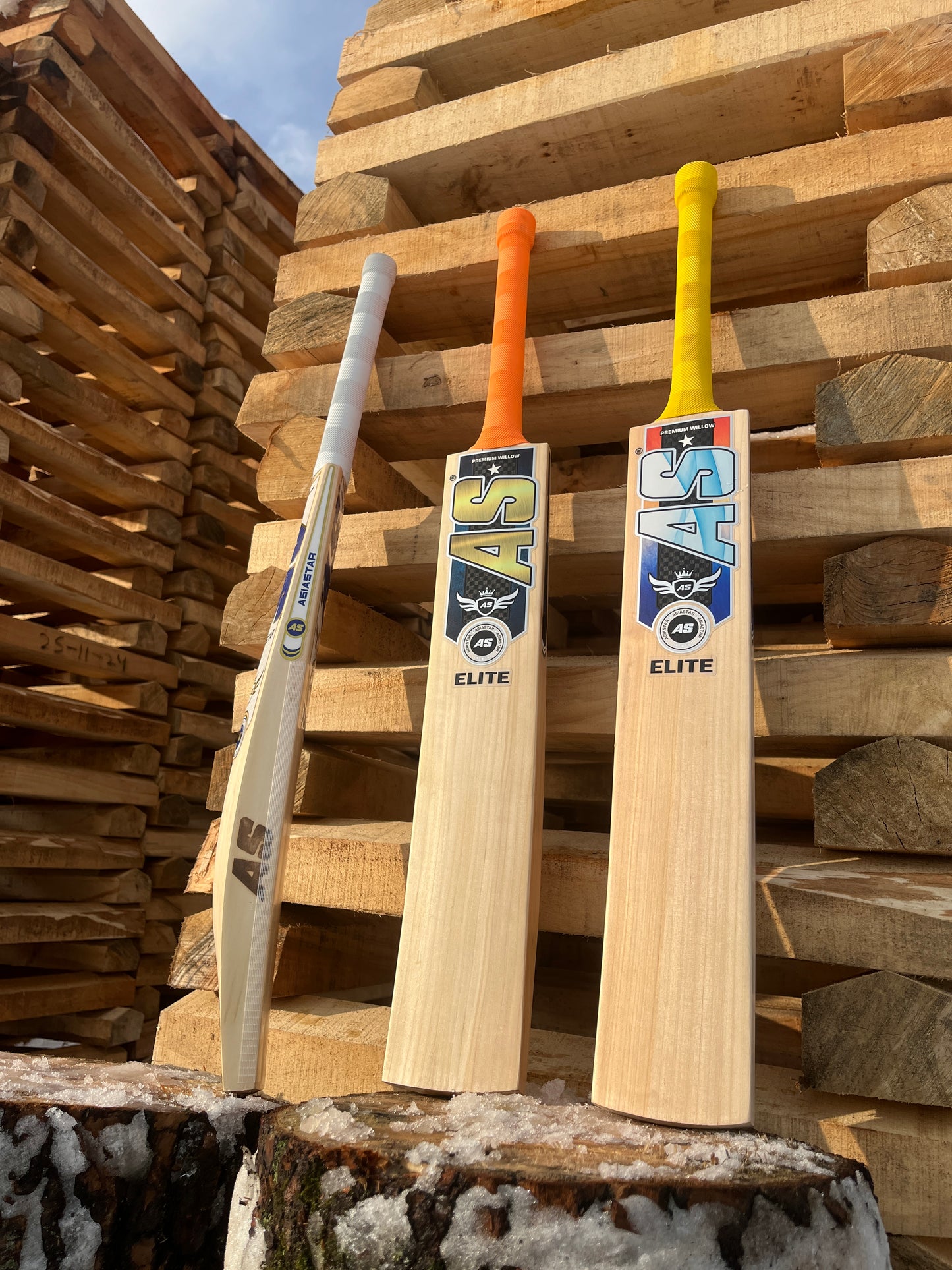 Kashmir willow cricket bat for leather ball | Asia Star Elite Edition