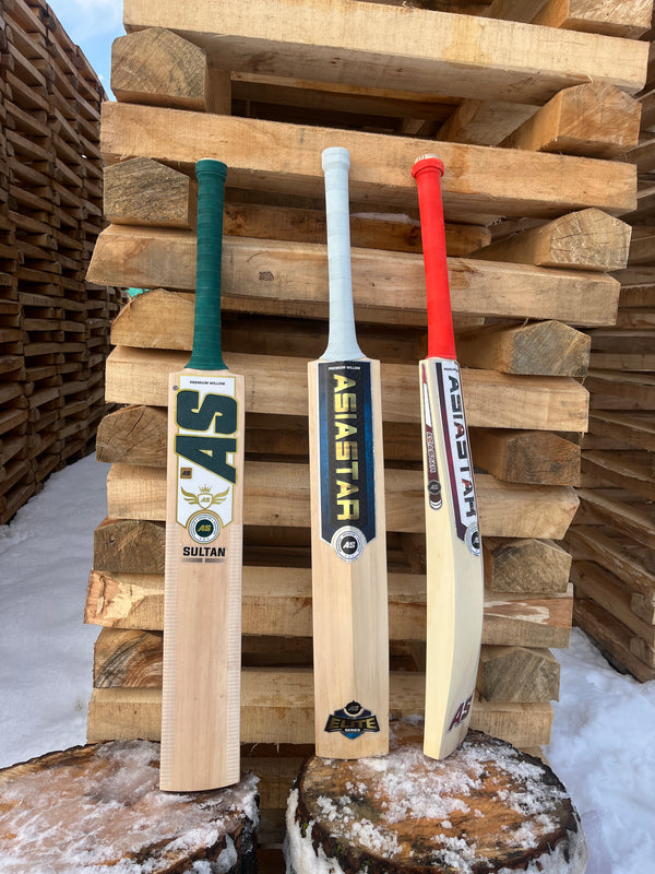 Asia Star Sultan Edition Kashmir Willow Cricket Bat for Young Players ...