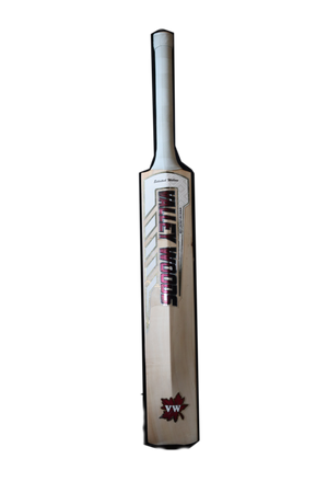English Willow Cricket bat for leather ball | Destroyer valley woods
