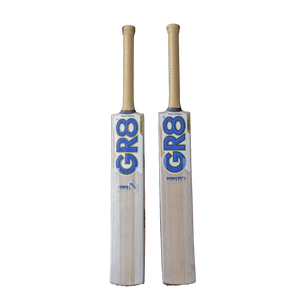 sports cricket bat for player edition front face with visible grains