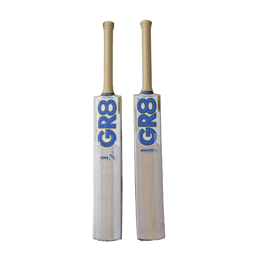 sports cricket bat for player edition front face with visible grains