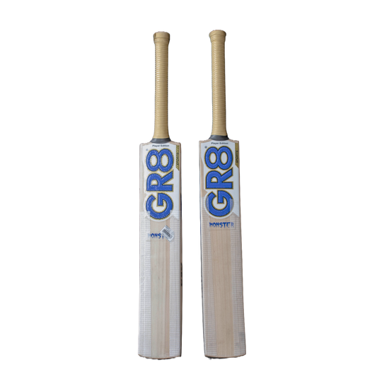 sports cricket bat for player edition front face with visible grains