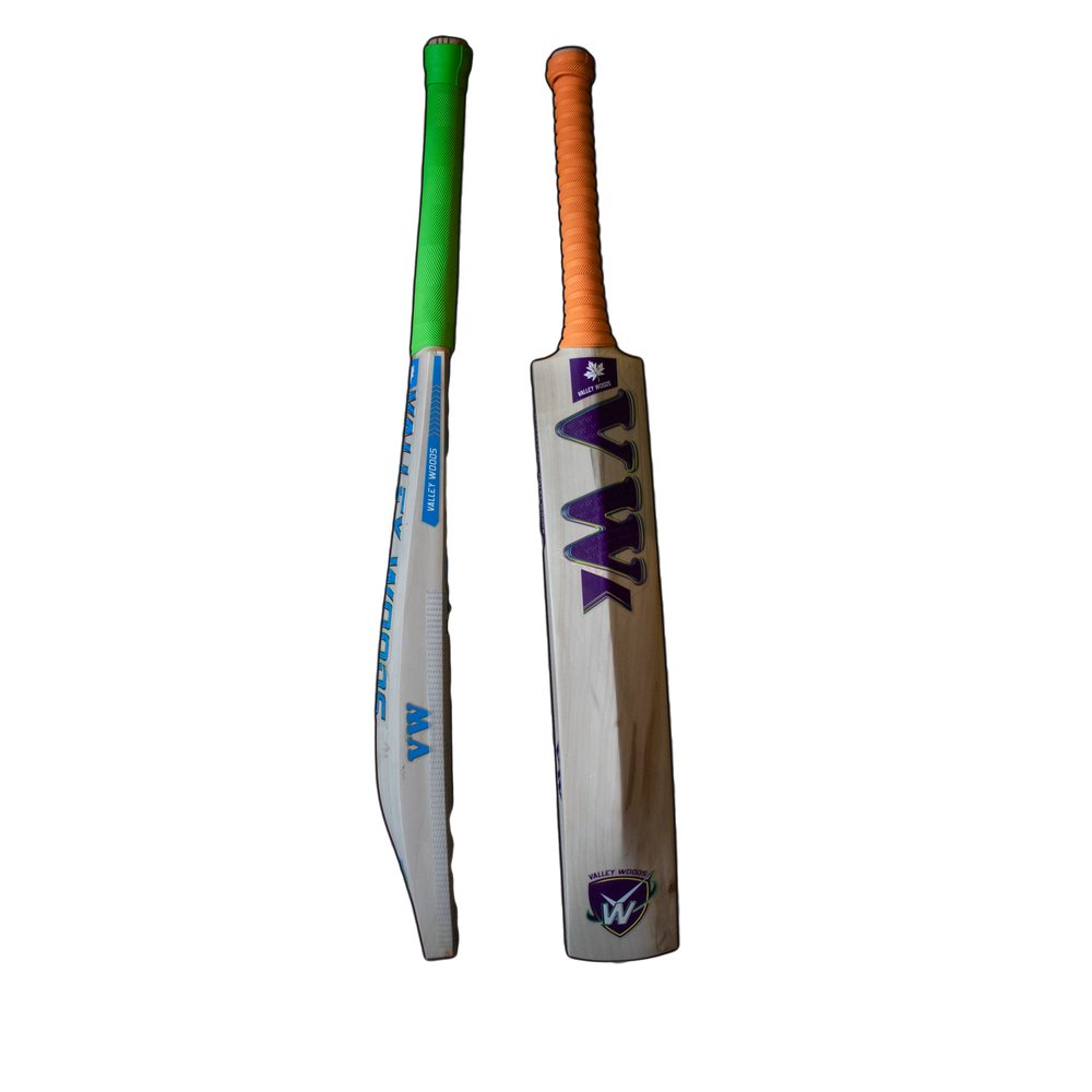 players profile kashmir willow cricket bat for pro players