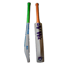 players profile kashmir willow cricket bat for pro players