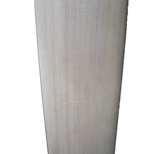 scoop cricket bat for hard tennis with cane handle and grip front face and grains