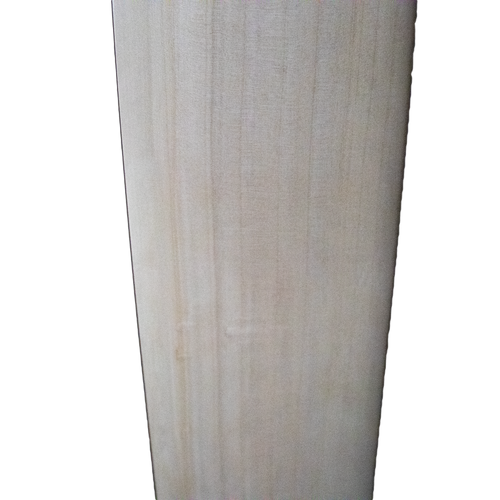 scoop cricket bat for hard tennis with cane handle and grip front face and grains