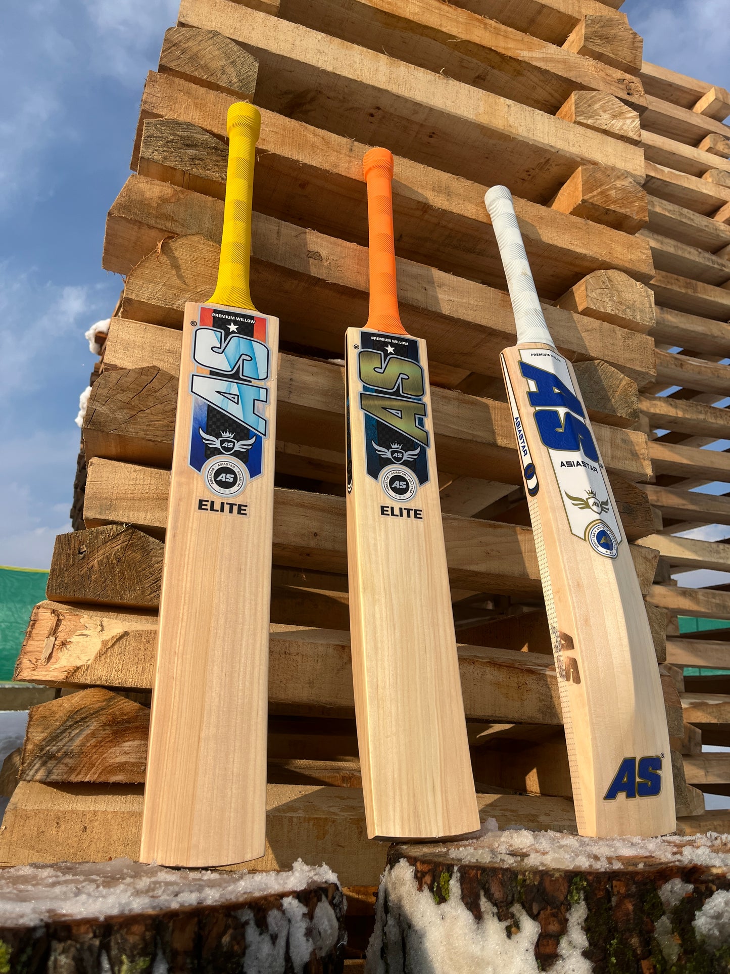 Kashmir willow cricket bat for leather ball | Asia Star Elite Edition