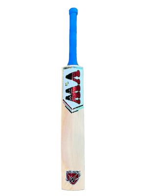 Kashmir willow cricket bat for Professional | VW - Spark