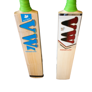 kashmir willow cricket bat for beginners signature bat close view front side of bat